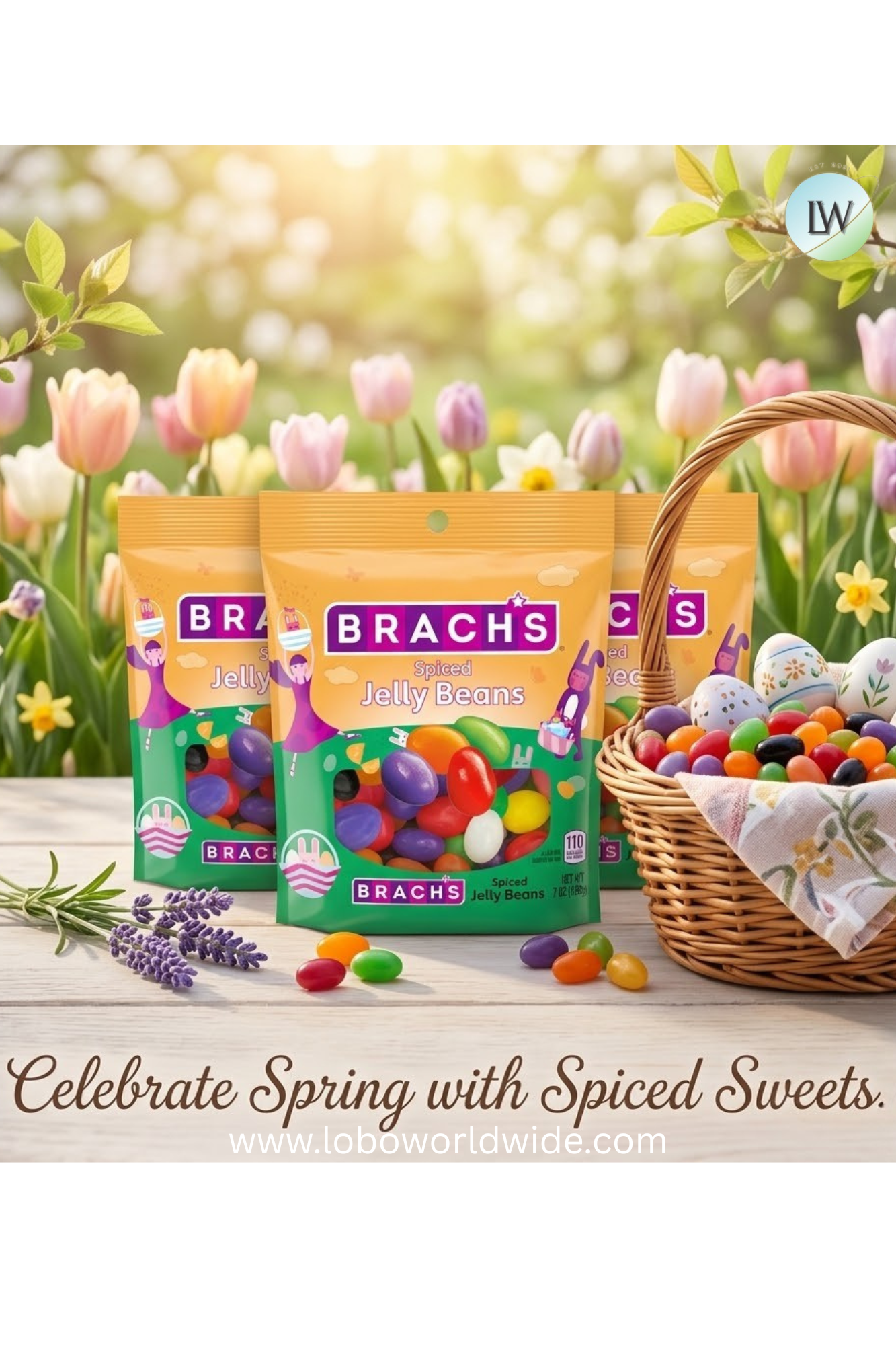 Brach's Spiced Jelly Bean, Easter Candy, Easter Basket Stuffers, 7oz - pack of 3