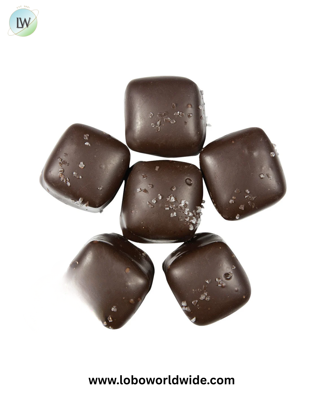 Asher's Dark Chocolate With Sea Salt Vanilla Caramels - 6lb