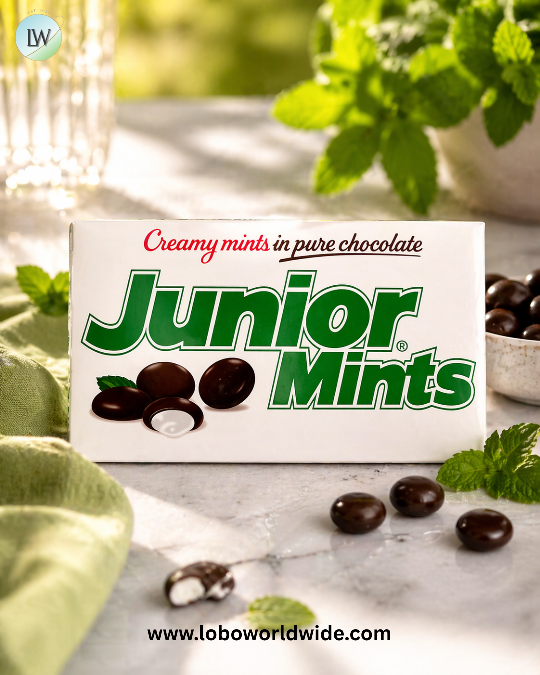 Junior Mints Theater Box 12 Piece