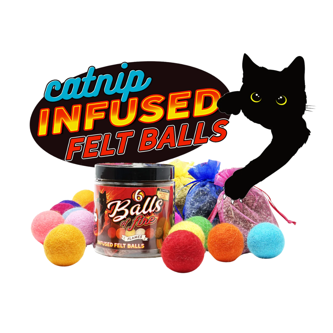 Catnip Infused Felted Balls Cat Toy with Recharging Tin