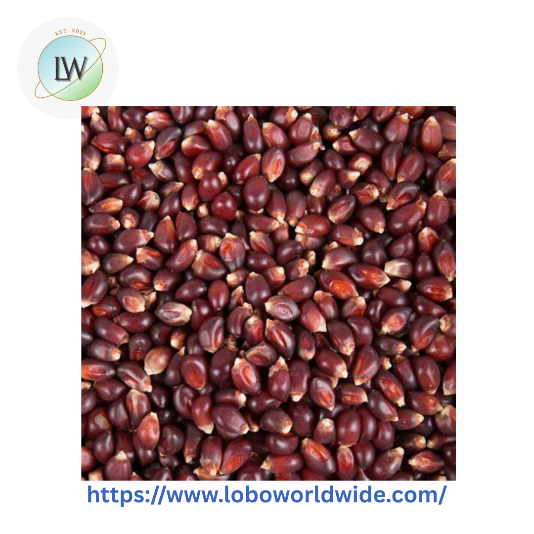 Carnival King 5 lb. Popcorn Kernels