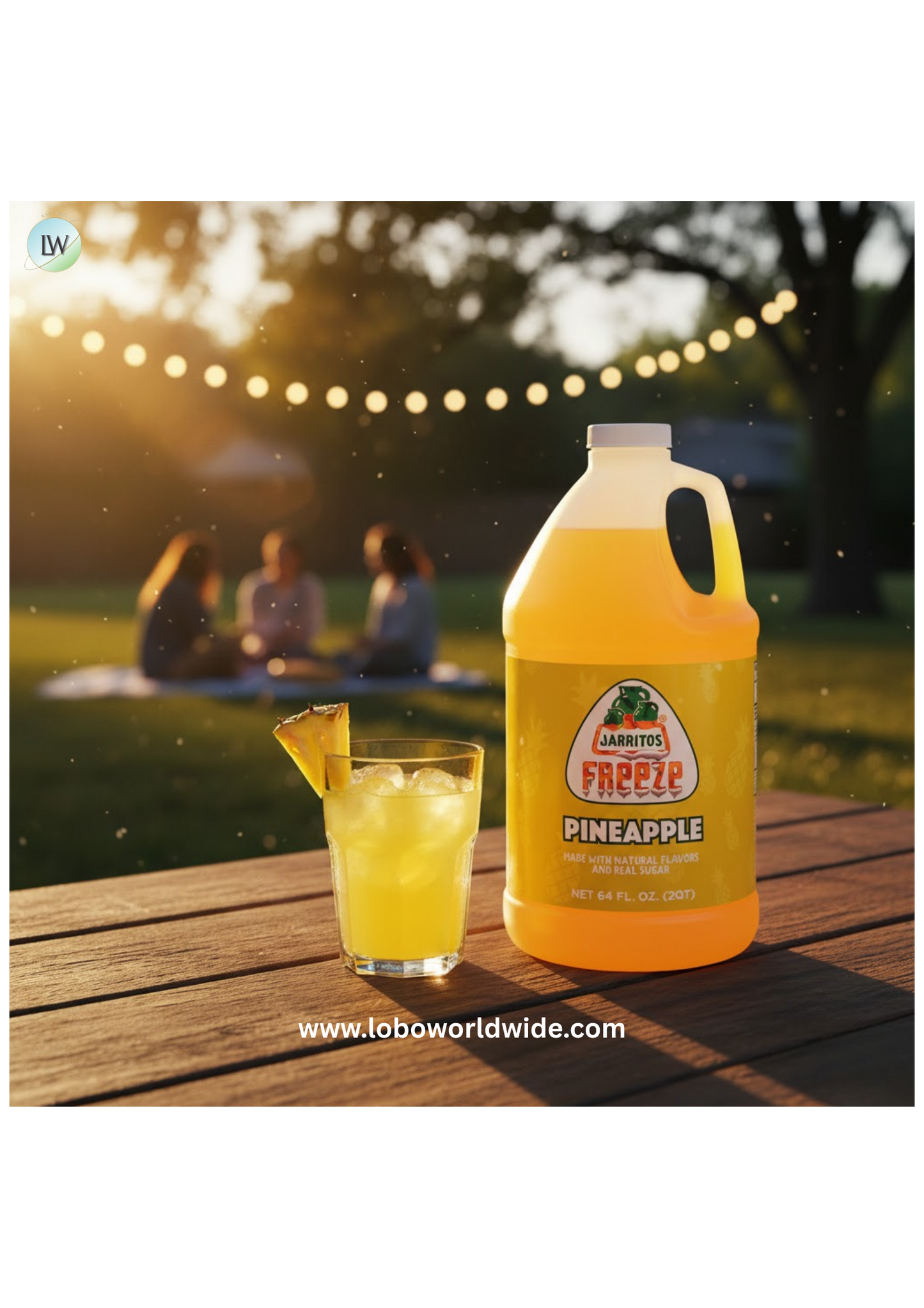 Jarritos¨ 1/2 Gallon Slushy 5:1 Concentrate(Various flavours)