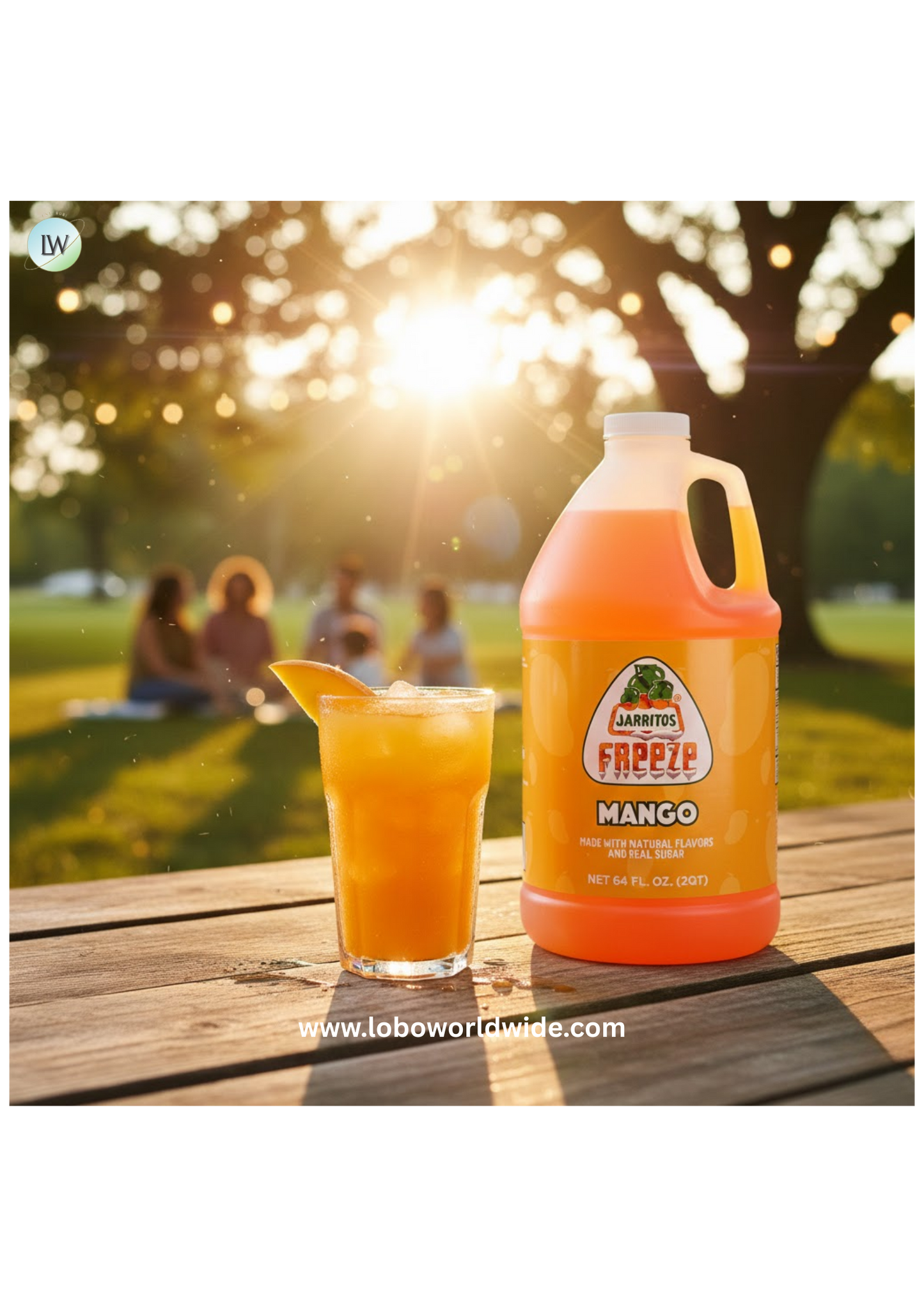 Jarritos¨ 1/2 Gallon Slushy 5:1 Concentrate(Various flavours)