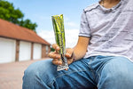 Load image into Gallery viewer, Sqweeze Freeze Pops, Assorted Flavors, 3oz Packets, 150/Carton…
