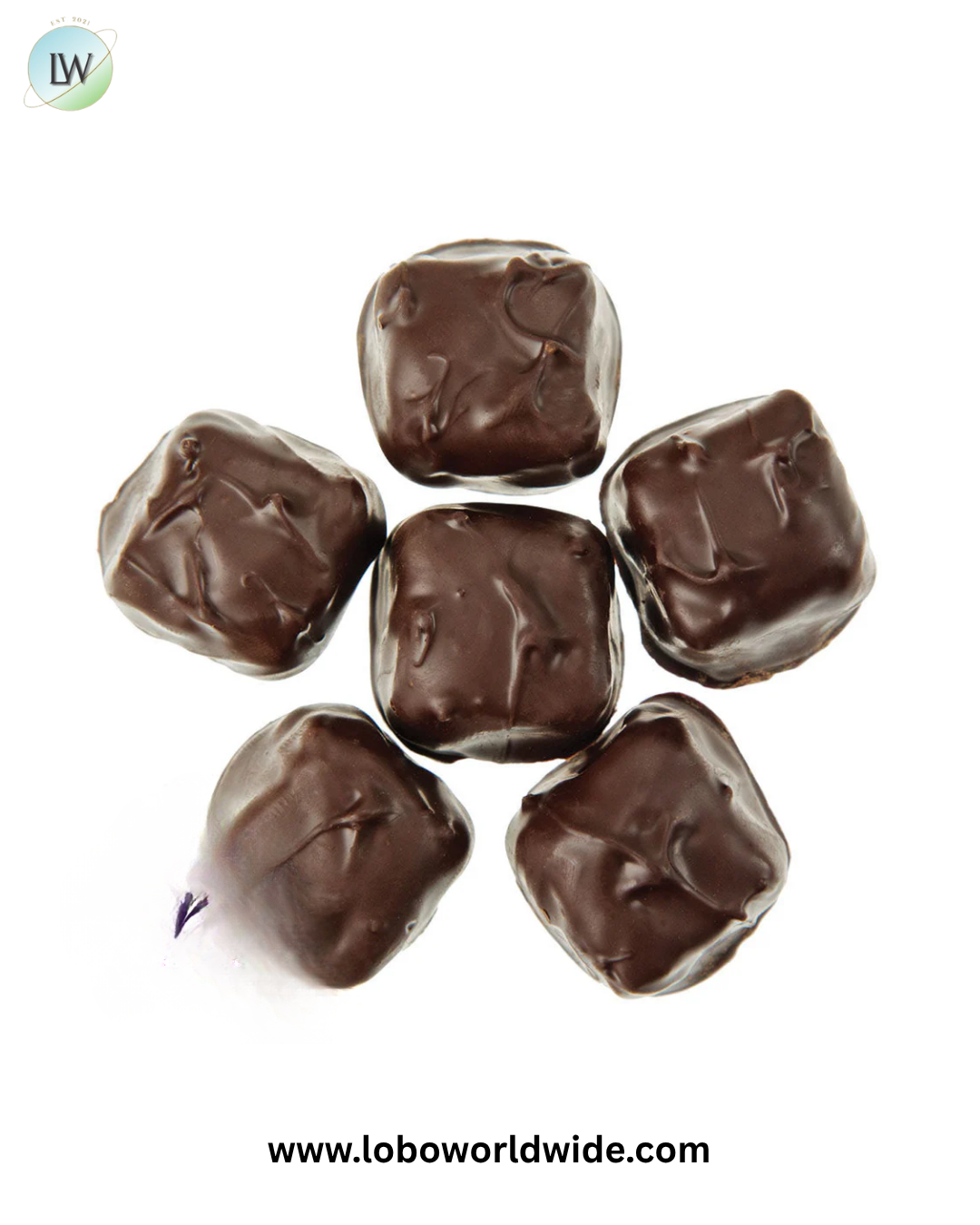 Dark Chocolate Asher's