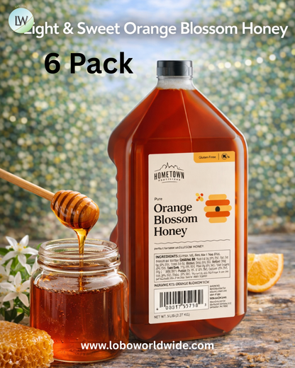 Hometown Provisions 5lb Honey - 6/Case
