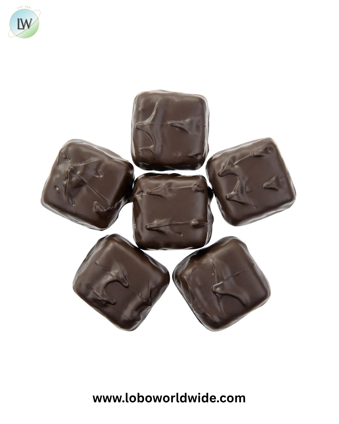 Jumbo Vanilla Marshmallow Chocolates - 5lb