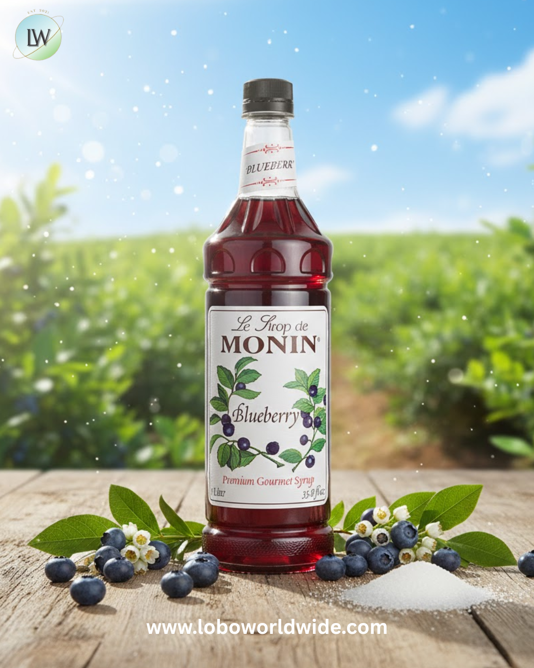 Monin Premium Flavoring Syrup 1 Litre(various flavours)