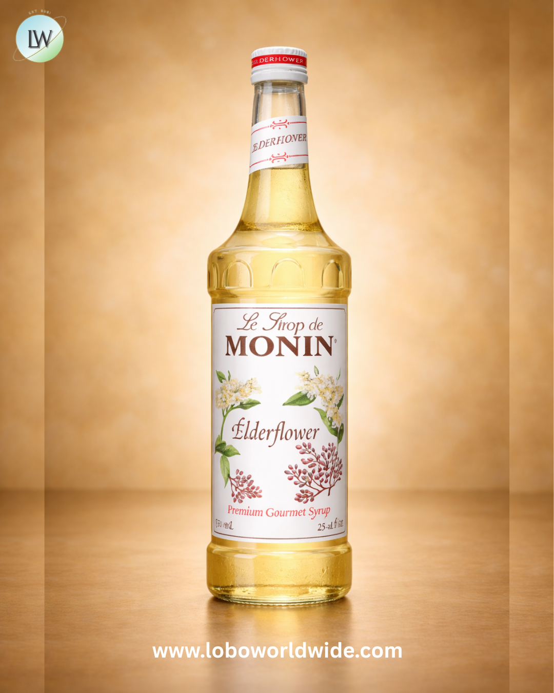 Monin Premium Flavoring Syrup 750 mL-12/Case (Various Flavors)