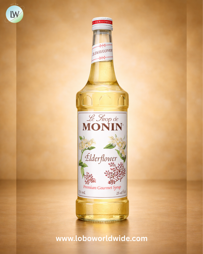 Monin Premium Flavoring Syrup 750 mL-12/Case (Various Flavors)