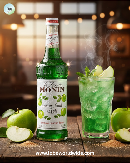 Monin Premium Flavoring Syrup 750 mL-12/Case (Various Flavors)