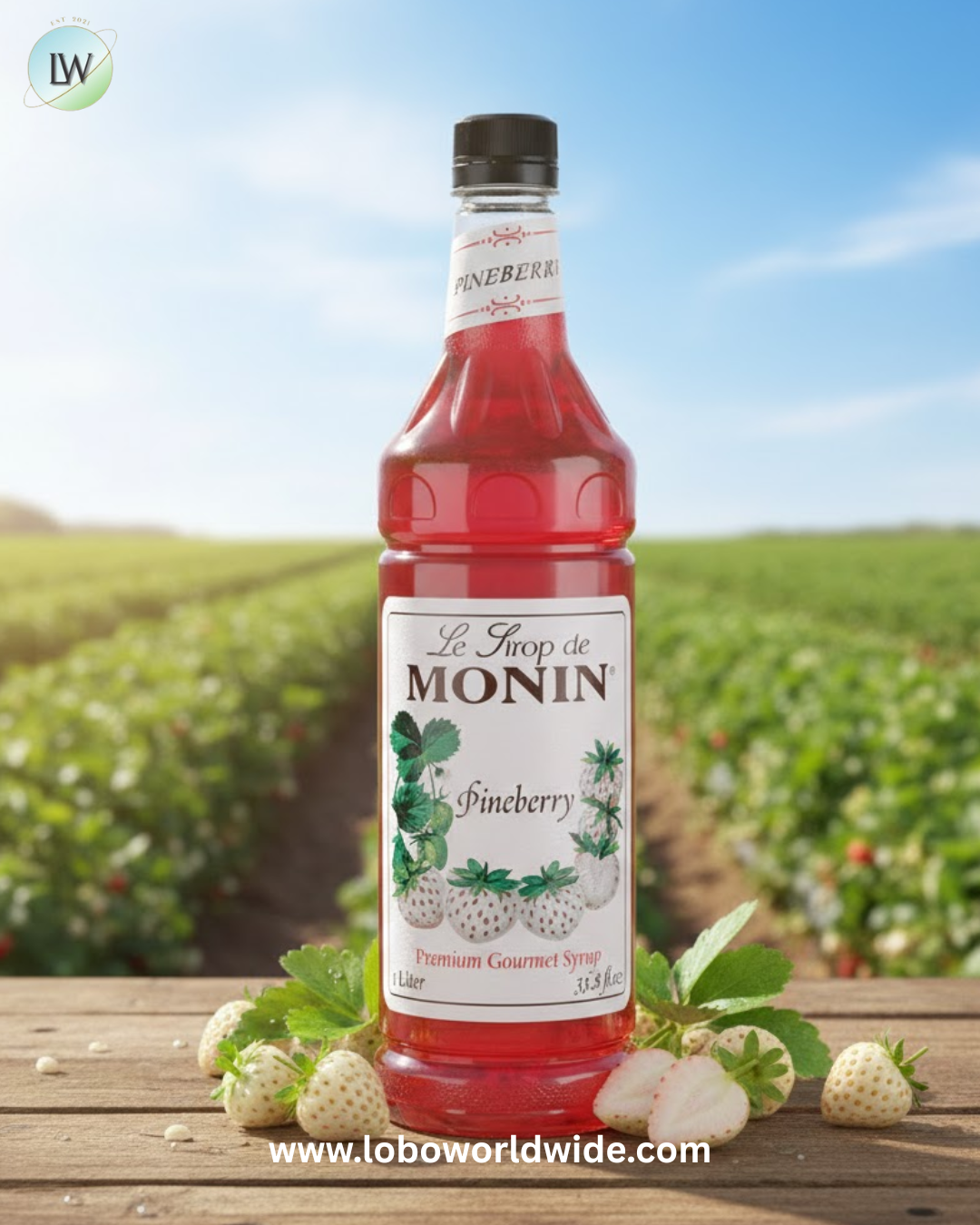 Monin Premium Flavoring Syrup 1 Litre(various flavours)