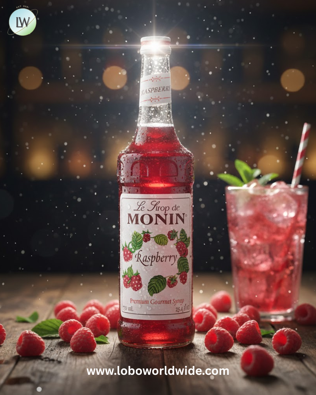 Monin Premium Flavoring Syrup 750 mL-12/Case (Various Flavors)
