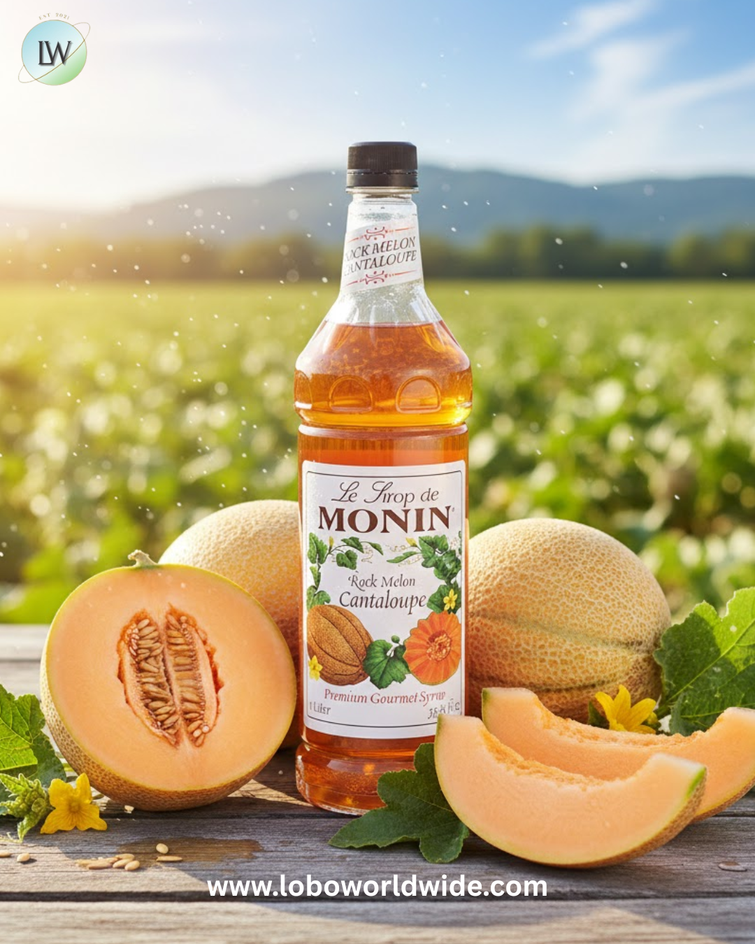 Monin Premium Flavoring Syrup 1 Litre(various flavours)