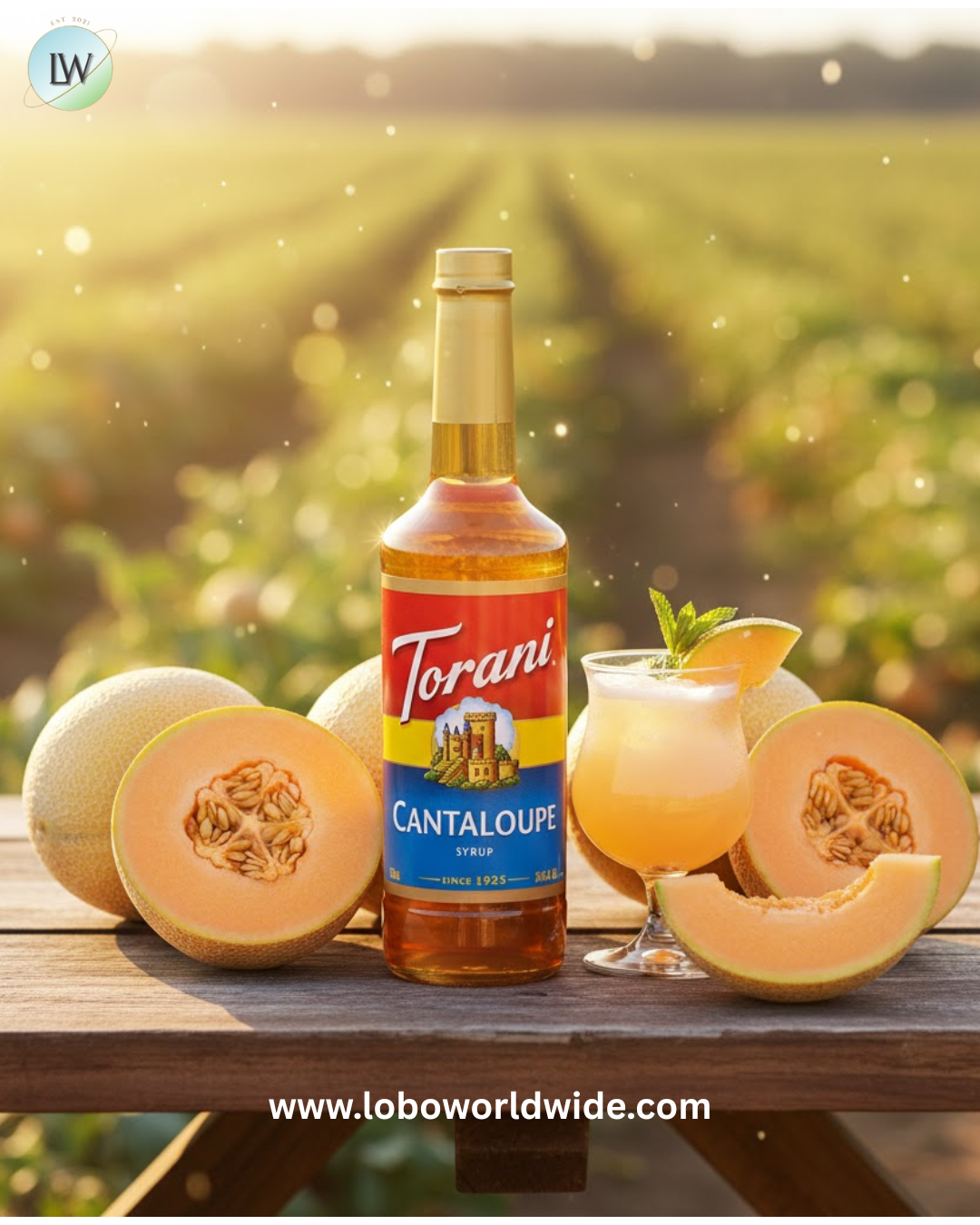 Torani Flavoring / Fruit Syrup 750 mL Glass Bottle-12/Case (Various flavors)