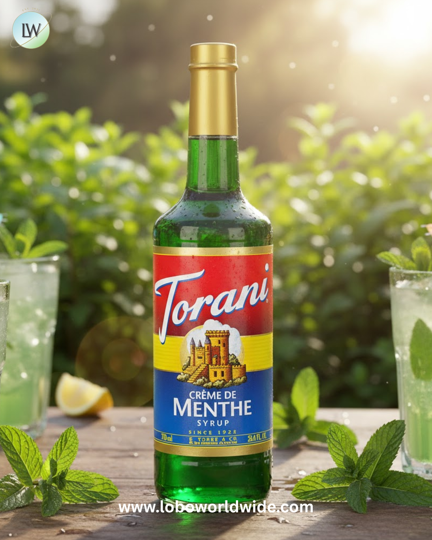 Torani Flavoring / Fruit Syrup 750 mL Glass Bottle-12/Case (Various flavors)