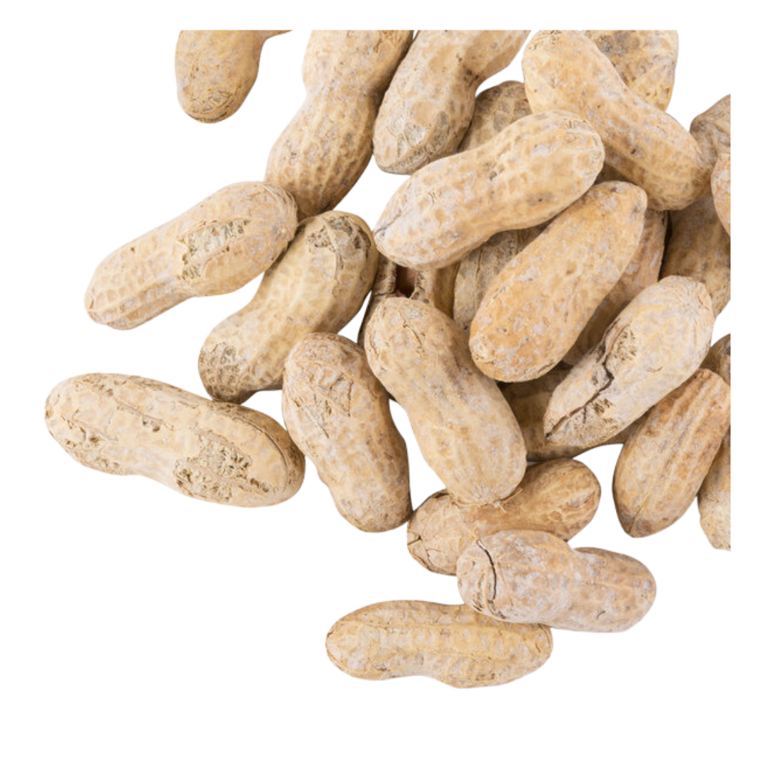 Hampton Farms 25 lb. Roasted & Salted In-Shell Peanuts