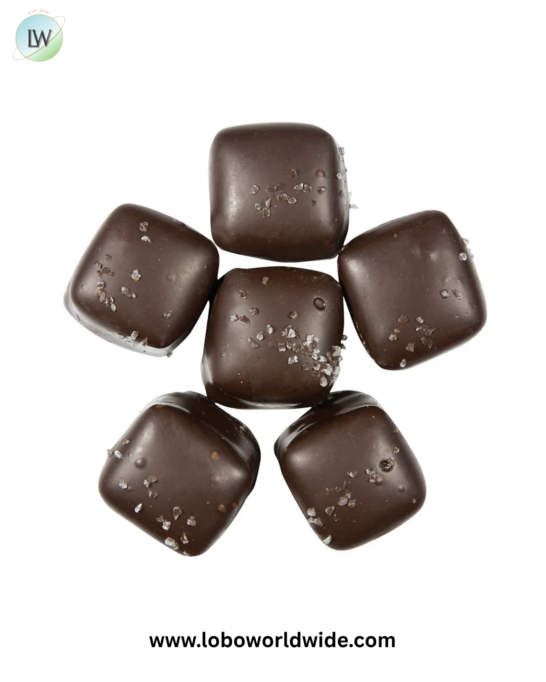 Vanilla Caramels Chocolate-Covered chocolate sea salt - 6lb