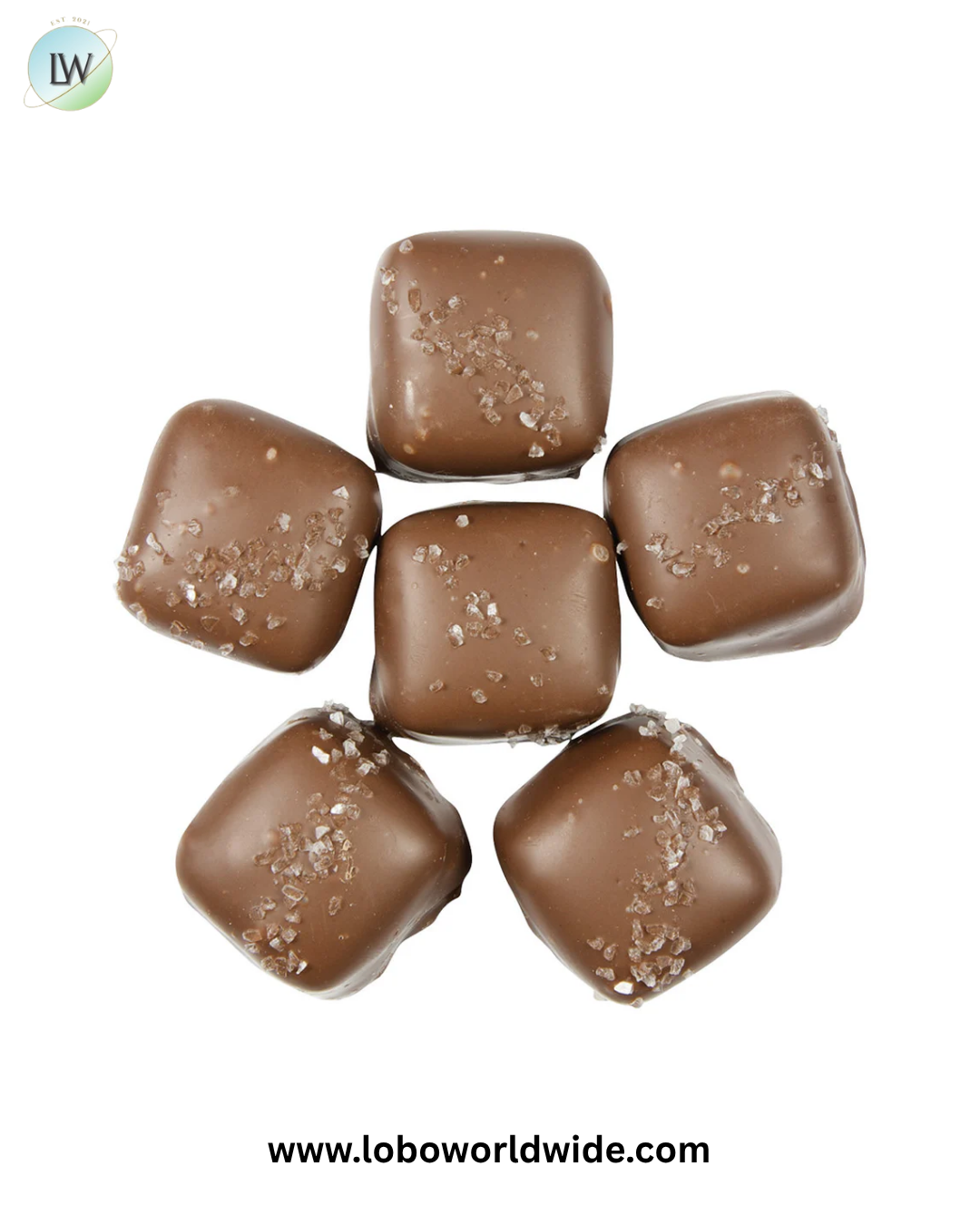 Vanilla Caramels Chocolate-Covered chocolate sea salt - 6lb