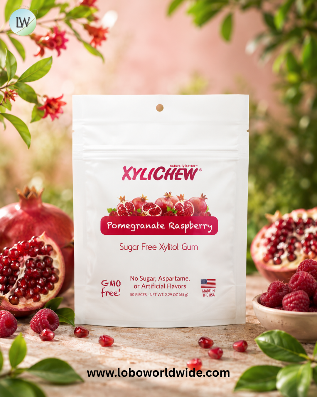 XyliDENT, Xylichew, 50 Pieces, 2.29 oz (65 g)