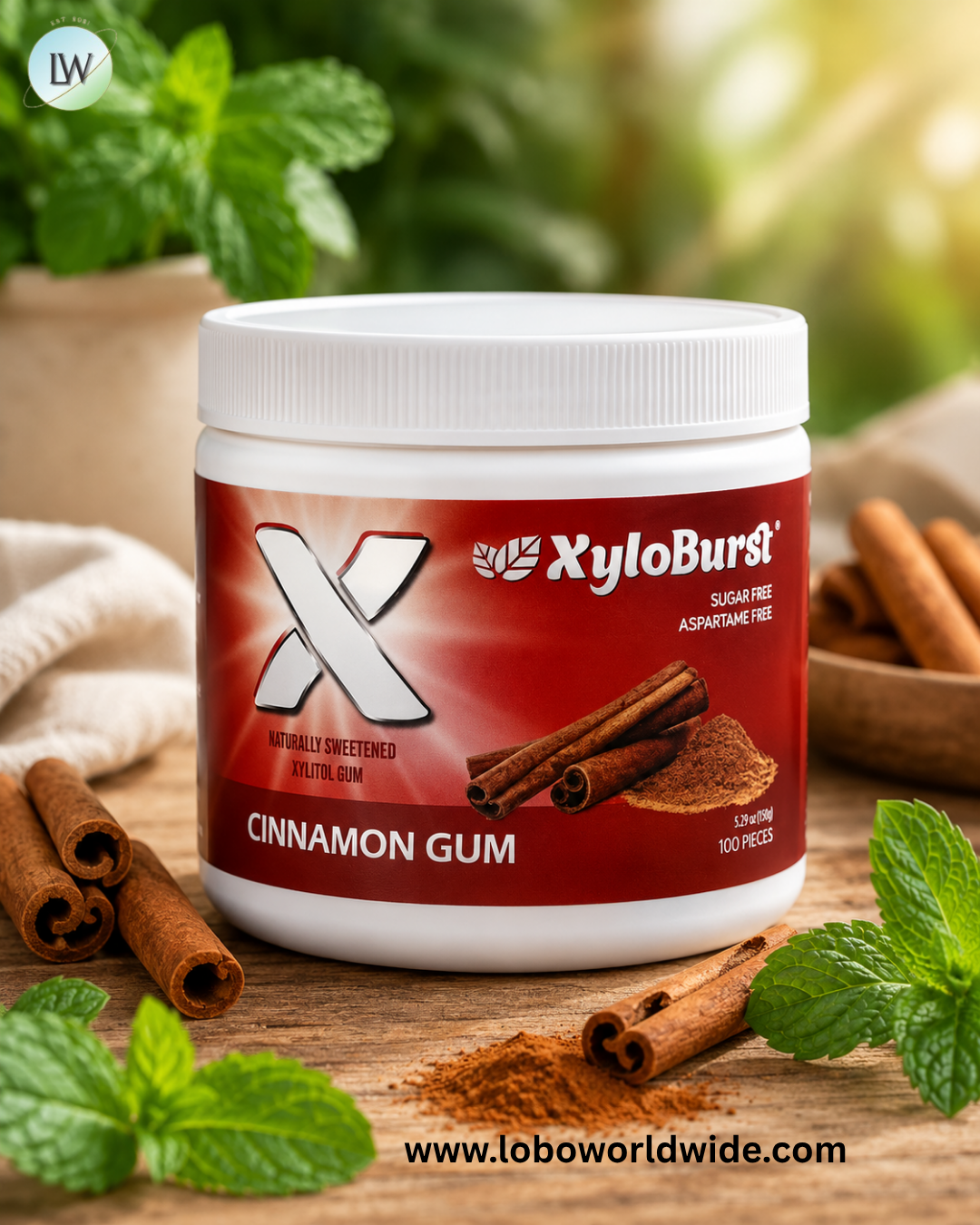 Xyloburst, Xylitol Gum, 100 Pieces, 5.29 oz (150 g)