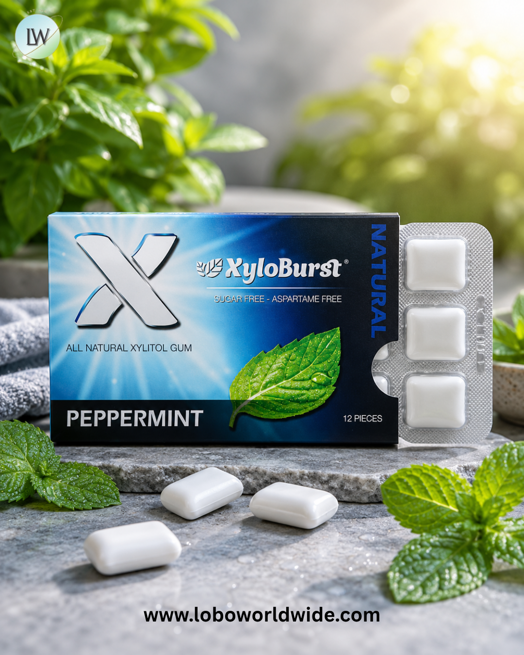 Xyloburst, Xylitol Gum, 12 Pieces