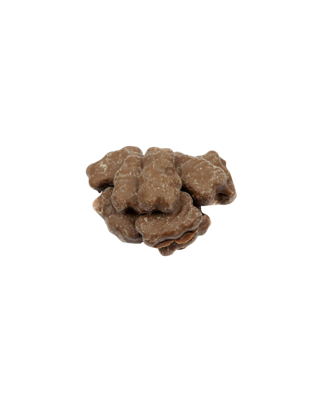 Chocolate Covered Gummy Bears