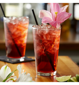 Monin Premium Hibiscus Flavoring Syrup 1 Liter