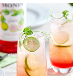 Load image into Gallery viewer, Monin Premium Guava Flavoring / Fruit Syrup 1 Liter
