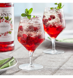 Load image into Gallery viewer, Monin Premium Cranberry Flavoring / Fruit Syrup 1 Liter
