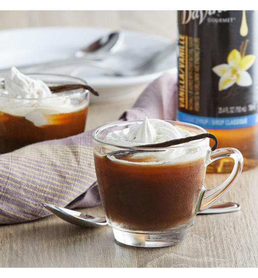 DaVinci Gourmet Sugar Free French Vanilla Flavoring Syrup 750 mL