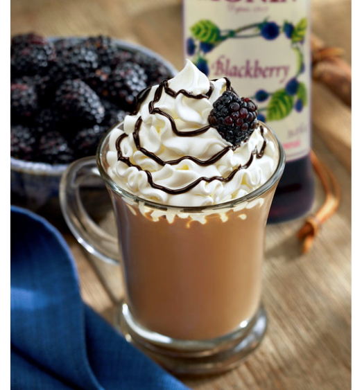 Monin Premium Blackberry Flavoring / Fruit Syrup 750 mL