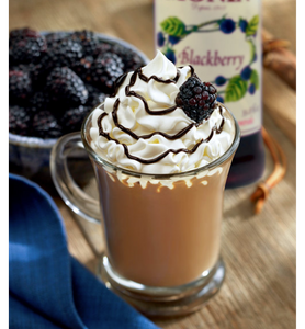 Monin Premium Blackberry Flavoring / Fruit Syrup 750 mL